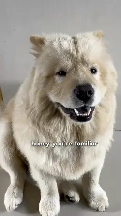 honey youre familiar