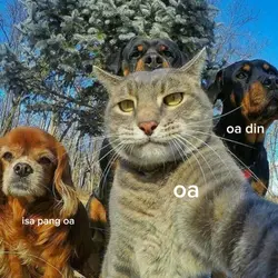 si oa