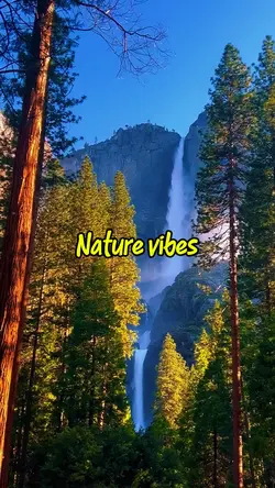 Nature vibes