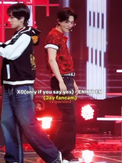 FANCAM