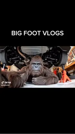 BIG FOOT VLOGS
