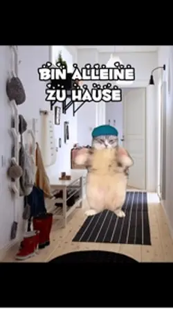 Alleine Zuhause 