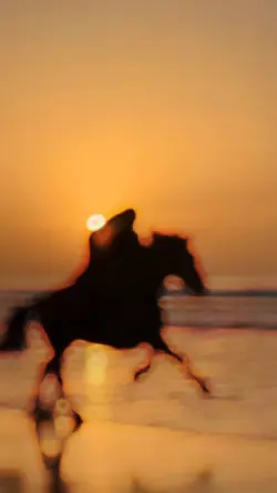 Slowmotion...