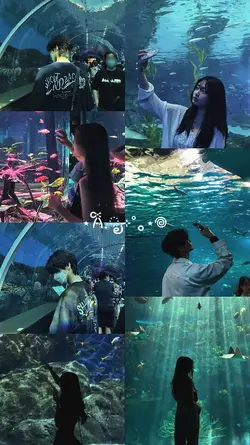 7 pic 