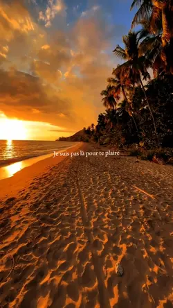 Pour te plaire…
