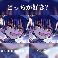 どっちが好き?