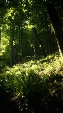 nature