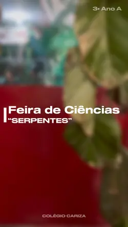 Feira de ciências 