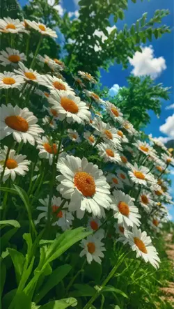 3D Wallpaper