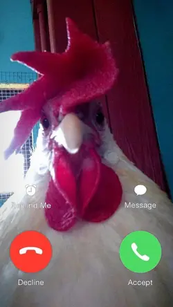 Calling Meme