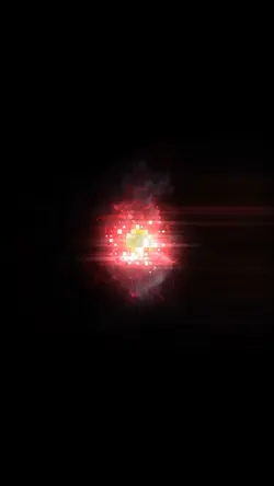 portal portrait ²⁴