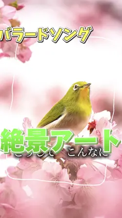 モノクロ編集
