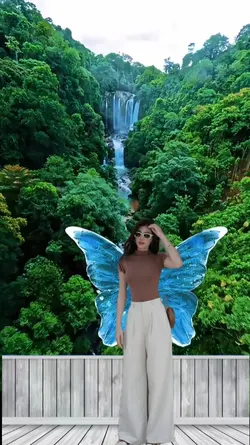 butterfly view 