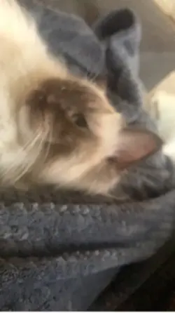 I ain’t wanna hear 