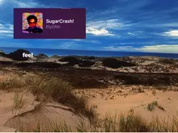 Sugar Crash lyrics