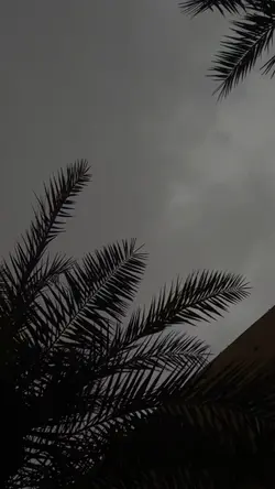 انت حاجة/عبدالمجيد