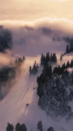 Winter vibes