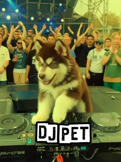Dj pet