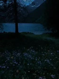 The way of the tears