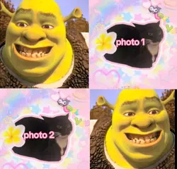 shrek and donkey
