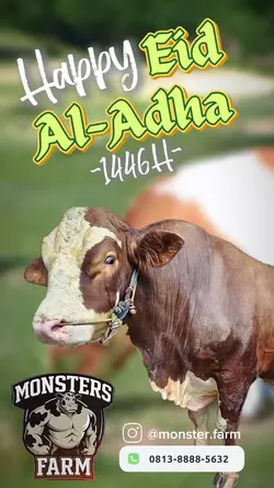 Idul adha qurban