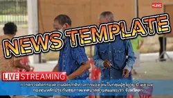 News template