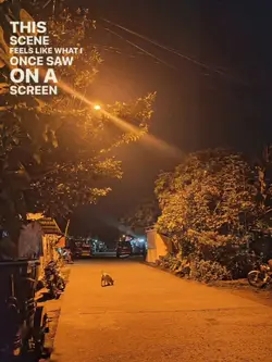 this scene
