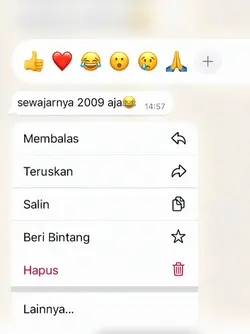 sewajarnya 2009 aja