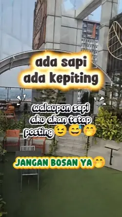 ada sapi adakepiting