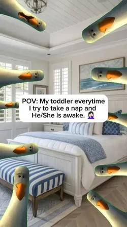 Take a Nap Meme