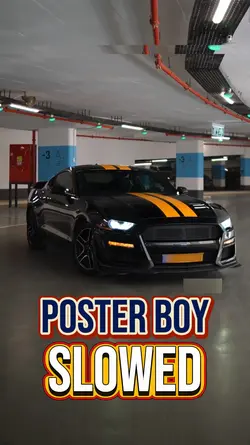 POSTER BOY | MUSTANG
