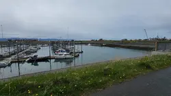 Boat Harbor 