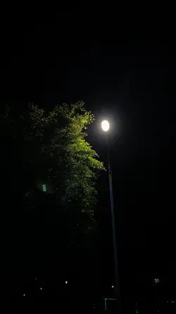 malamvibes
