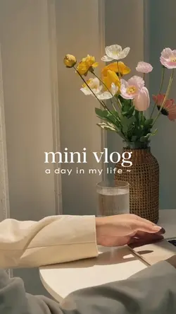 Mini vlog a day in