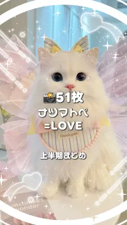 🎵ナツマトペ
