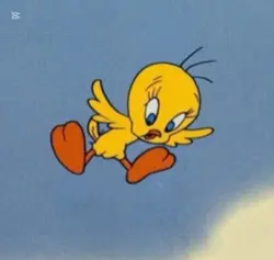 반모방