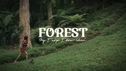 Forest Trip