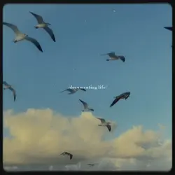 Vid aesthetic 