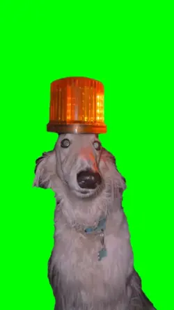 Dog with Siren Lamp