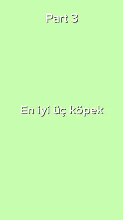 En iyi Üç Köpek