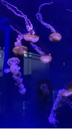 aquarium vlog 
