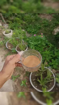 ពេញចិត្តយើងជាខ្លួនឯង