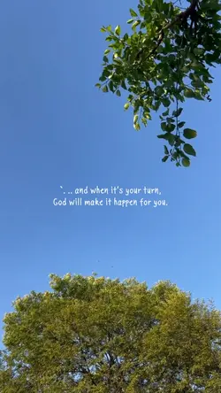 Trust the Process