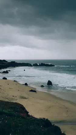 Sacred Haven