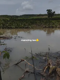 trend mancing 