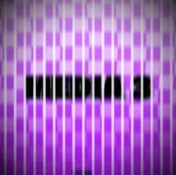 MONTAGEM PIXELS