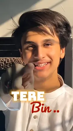 Tere Bin Nahi Lagda 