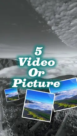 5 video or picture 