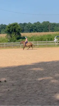 That 1 mare 💖