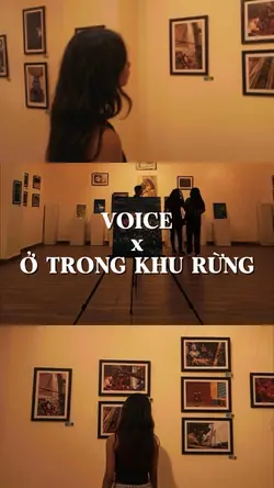 ở trong khu rừng